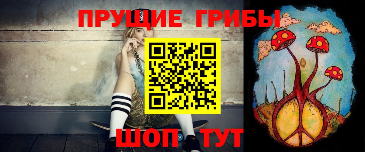 Псилоцибиновые грибы Psilocybe Владикавказ